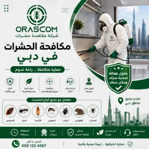 مكافحة حشرات دبي