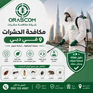 مكافحة حشرات دبي