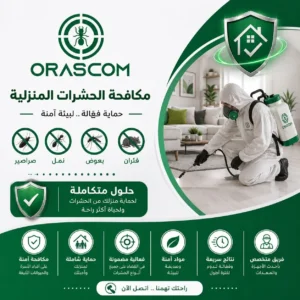 مكافحة حشرات منزلية | دليل شامل لحماية منزلك من الحشرات مكافحة حشرات منزلية