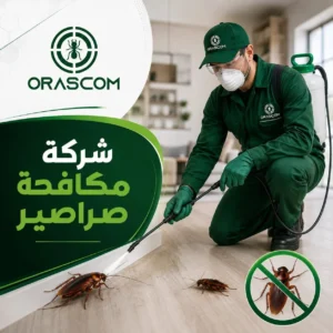 مكافحة الصراصير الامارات: دليلك للتخلص من الصراصير وحماية منزلك مكافحة الصراصير الامارات