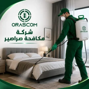 مكافحة الصراصير الامارات: دليلك للتخلص من الصراصير وحماية منزلك مكافحة الصراصير الامارات
