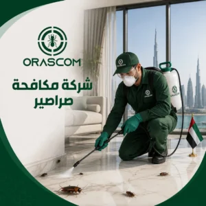 شركة مكافحة الصراصير في الإمارات | دليل شامل للتخلص من الصراصير شركة مكافحة الصراصير في الإمارات