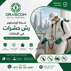 شركة رش حشرات في الإمارات| خدمة مكافحة احترافية للمنازل والمنشآت شركة رش حشرات في الإمارات