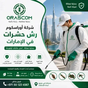 شركة رش حشرات في الإمارات| خدمة مكافحة احترافية للمنازل والمنشآت شركة رش حشرات في الإمارات