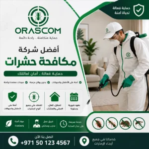 أفضل شركة مكافحة حشرات | كيف تختار شركة مناسبة لمكافحة الحشرات؟ أفضل شركة مكافحة حشرات