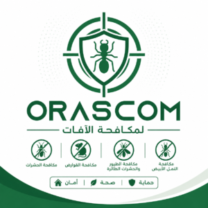 شركة مكافحة آفات| دليل اختيار أفضل خدمة لمكافحة الآفات شركة مكافحة آفات