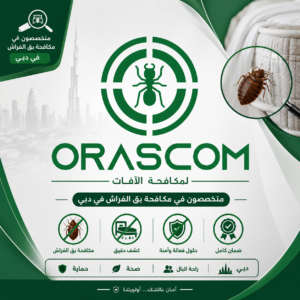 مكافحة بق الفراش دبي | دليل شامل للتعامل مع بق الفراش مكافحة بق الفراش دبي