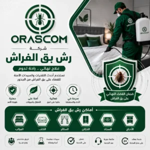 علاج بق الفراش نهائيًا: دليلك للتعامل مع بق الفراش بطريقة صحيحة علاج بق الفراش نهائيًا