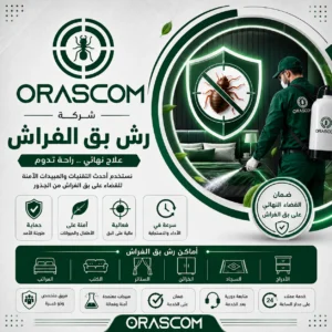علاج بق الفراش نهائيًا: دليلك للتعامل مع بق الفراش بطريقة صحيحة علاج بق الفراش نهائيًا