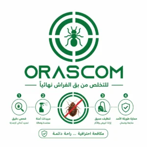 كيفية التخلص من بق الفراش بطريقة آمنة وفعالة كيفية التخلص من بق الفراش