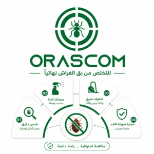 كيفية التخلص من بق الفراش بطريقة آمنة وفعالة كيفية التخلص من بق الفراش