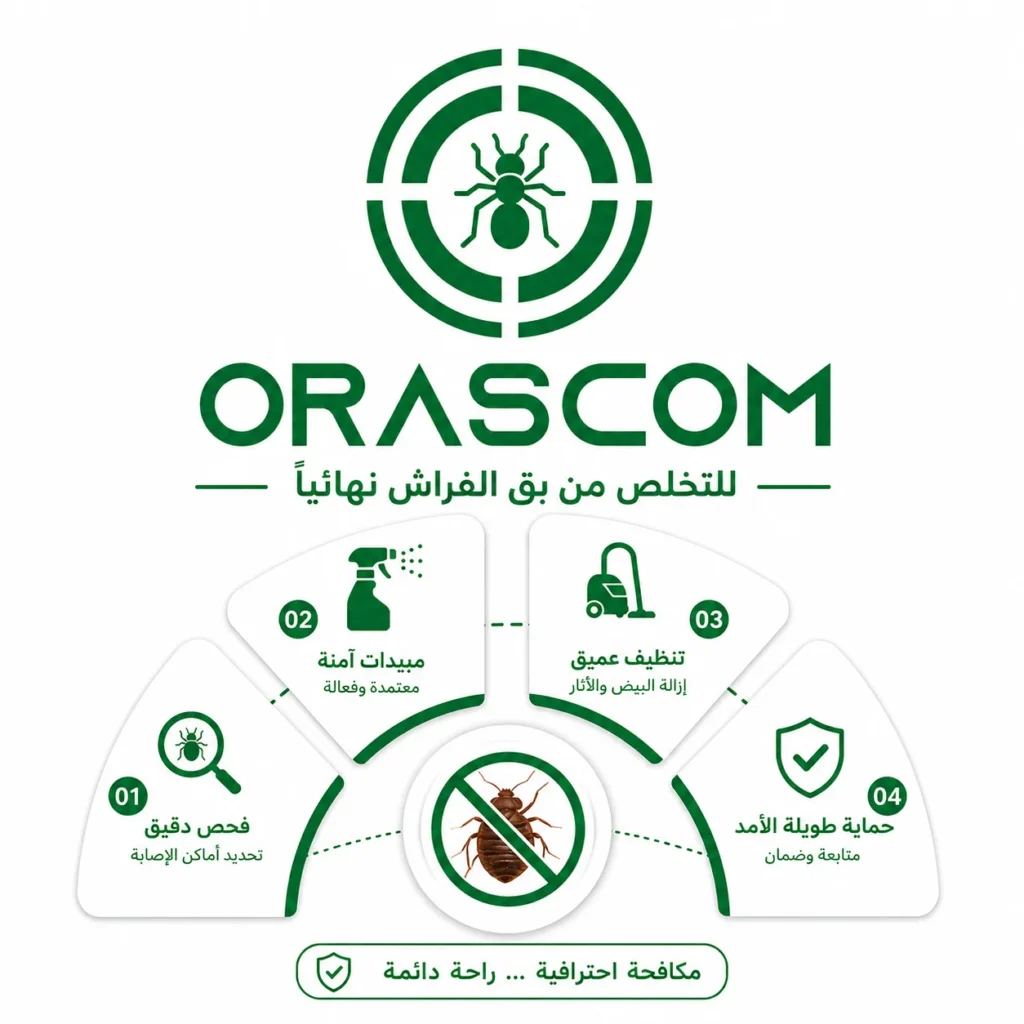 كيفية التخلص من بق الفراش بطريقة آمنة وفعالة كيفية التخلص من بق الفراش