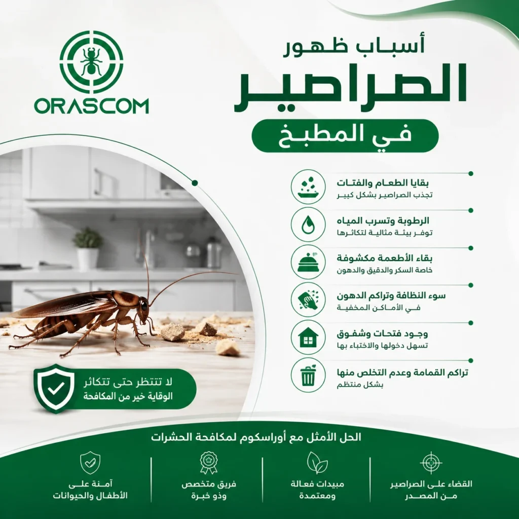 اسباب ظهور الصراصير في المطبخ