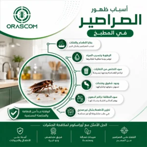 اسباب ظهور الصراصير في المطبخ