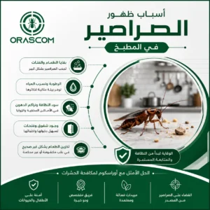 اسباب ظهور الصراصير في المطبخ