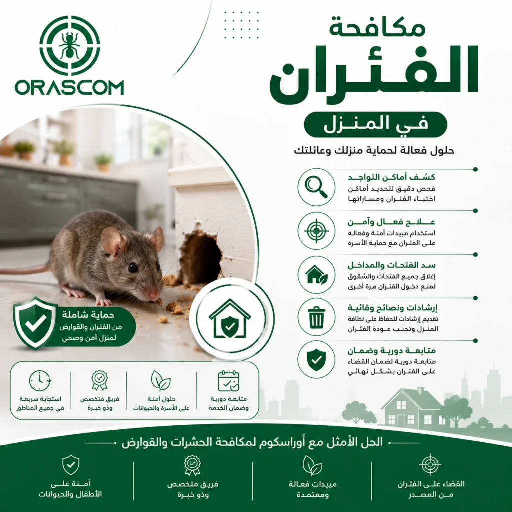 مكافحة الفئران في المنزل: دليل شامل للتخلص منها والوقاية من عودتها مكافحة الفئران في المنزل