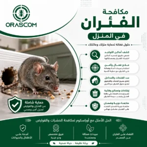 مكافحة الفئران في المنزل: دليل شامل للتخلص منها والوقاية من عودتها مكافحة الفئران في المنزل