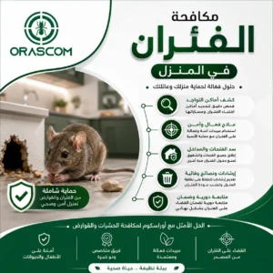 مكافحة الفئران في المنزل: دليل شامل للتخلص منها والوقاية من عودتها مكافحة الفئران في المنزل