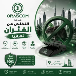 التخلص من الفئران نهائيًا