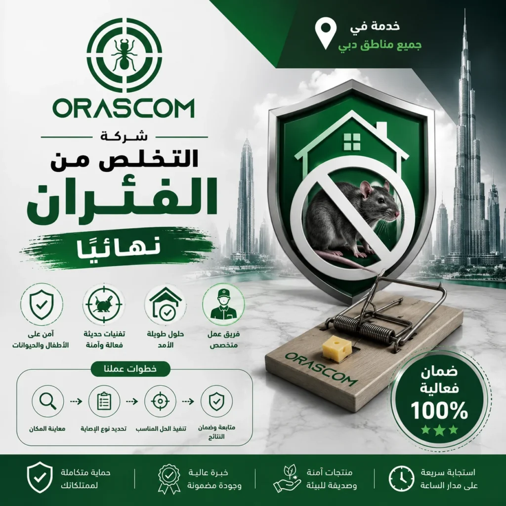 التخلص من الفئران نهائيًا: كيف تمنع عودة القوارض إلى منزلك؟ التخلص من الفئران نهائيًا