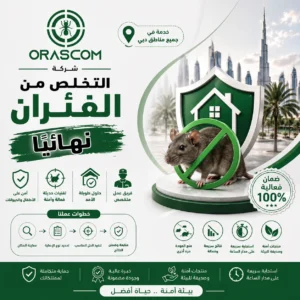 التخلص من الفئران نهائيًا