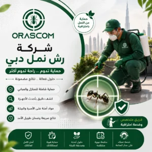 شركة رش نمل دبي: حلول فعالة لمكافحة النمل والوقاية منه شركة رش نمل دبي
