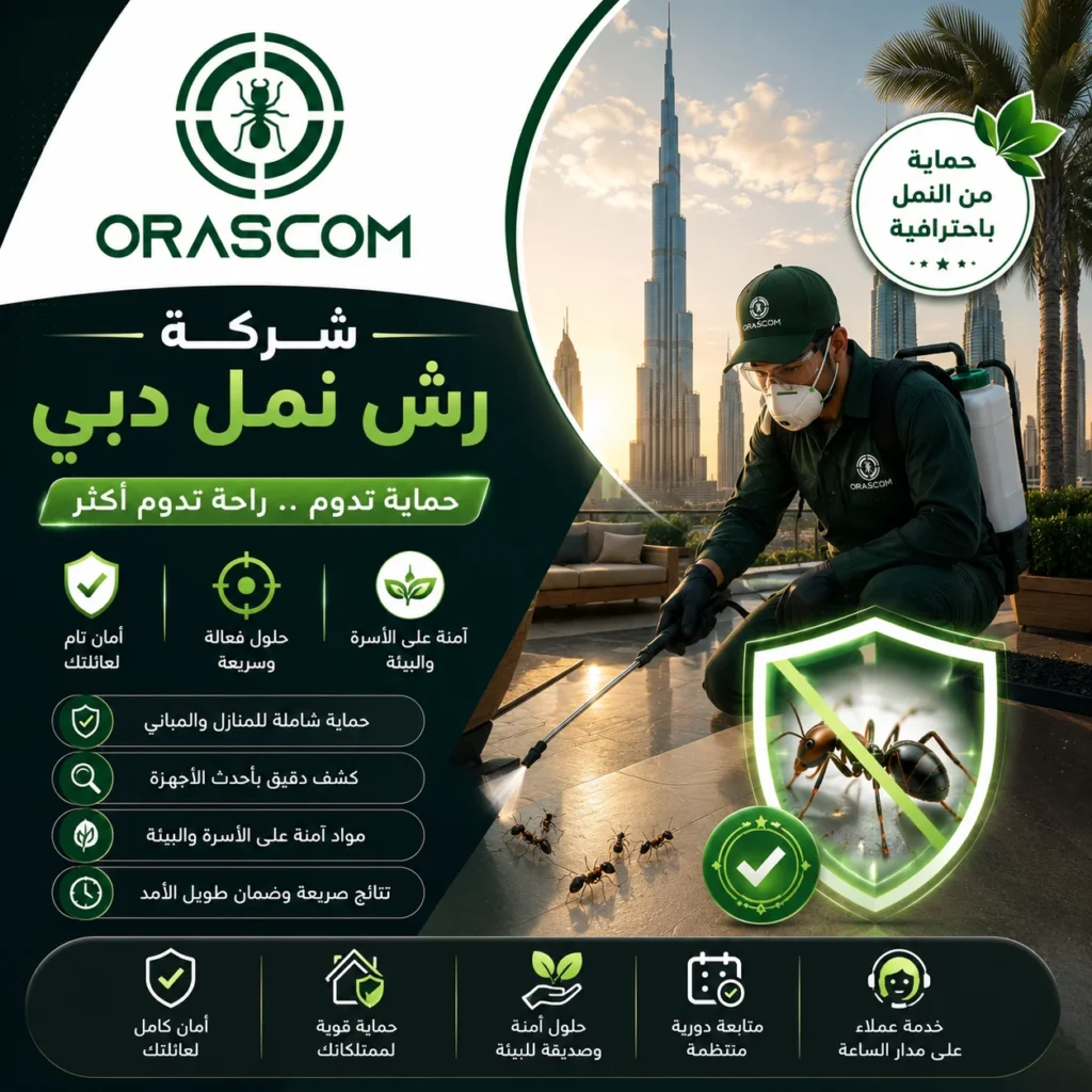 شركة رش نمل دبي