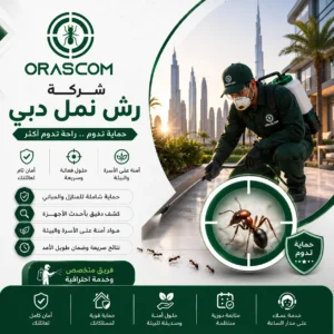 شركة رش نمل دبي: حلول فعالة لمكافحة النمل والوقاية منه شركة رش نمل دبي