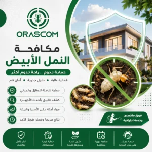 مكافحة النمل الأبيض