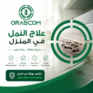 علاج النمل في المنزل: طرق فعالة للتخلص من النمل والوقاية منه علاج النمل في المنزل