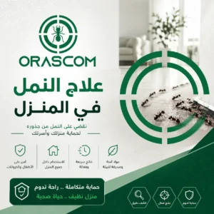 علاج النمل في المنزل: طرق فعالة للتخلص من النمل والوقاية منه علاج النمل في المنزل