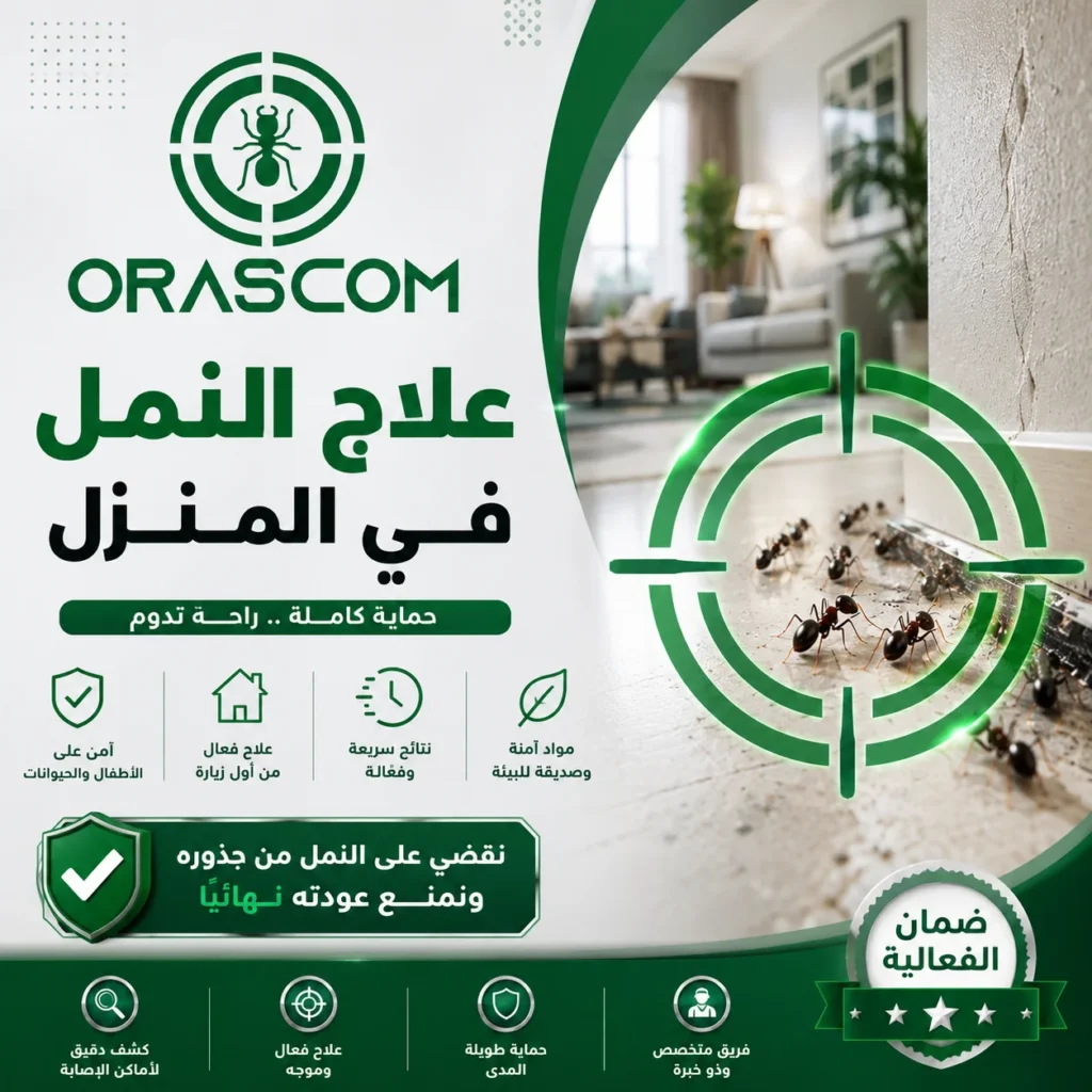 علاج النمل في المنزل