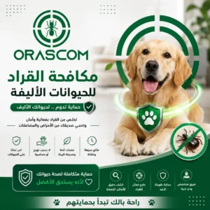 مكافحة القراد للحيوانات الأليفة: طرق الوقاية والتعامل مع القراد مكافحة القراد للحيوانات الأليفة