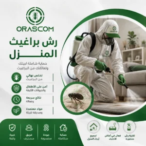 رش براغيث المنزل: دليل شامل للتخلص من البراغيث والوقاية من عودتها رش براغيث المنزل