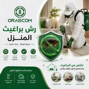 رش براغيث المنزل: دليل شامل للتخلص من البراغيث والوقاية من عودتها رش براغيث المنزل