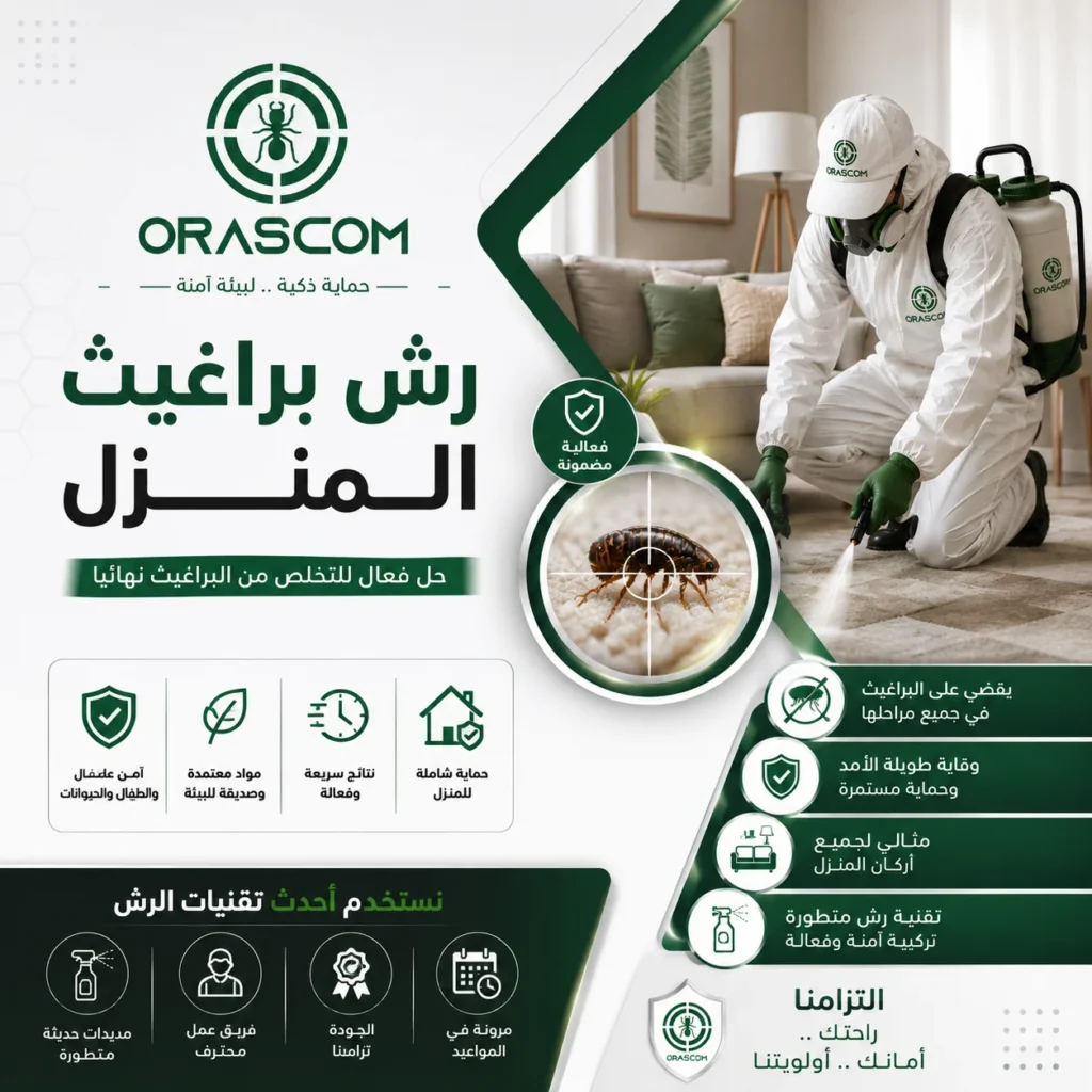 رش براغيث المنزل