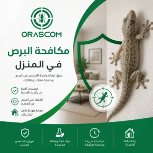 مكافحة البرص في المنزل: أفضل الطرق للتخلص منه ومنع عودته مكافحة البرص في المنزل