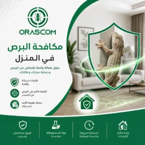 مكافحة البرص في المنزل: أفضل الطرق للتخلص منه ومنع عودته مكافحة البرص في المنزل