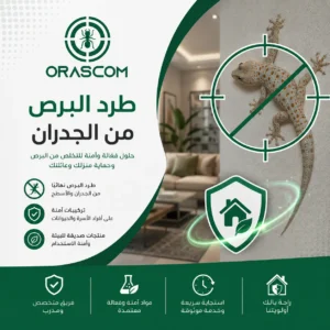 طرد البرص من الجدران: كيف تتخلص منه وتمنع عودته إلى المنزل؟