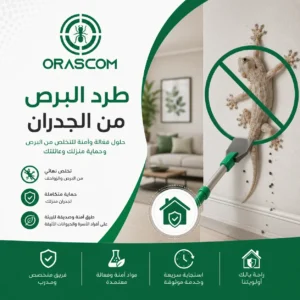 طرد البرص من الجدران: كيف تتخلص منه وتمنع عودته إلى المنزل؟ طرد البرص من الجدران