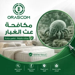 مكافحة عث الغبار: كيف تتخلص من عث الغبار وتحافظ على منزلك نظيفًا؟ مكافحة عث الغبار