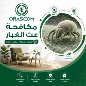 مكافحة عث الغبار: كيف تتخلص من عث الغبار وتحافظ على منزلك نظيفًا؟
