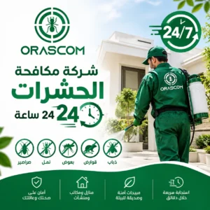 شركة مكافحة حشرات تفتح 24 ساعة: خدمة سريعة عند الحاجة شركة مكافحة حشرات تفتح 24 ساعة
