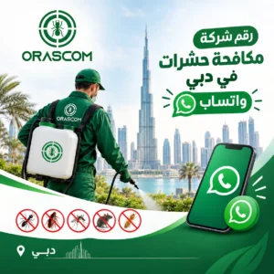 رقم شركة مكافحة حشرات في دبي واتساب | تواصل سريع مع شركة متخصصة رقم شركة مكافحة حشرات في دبي واتساب