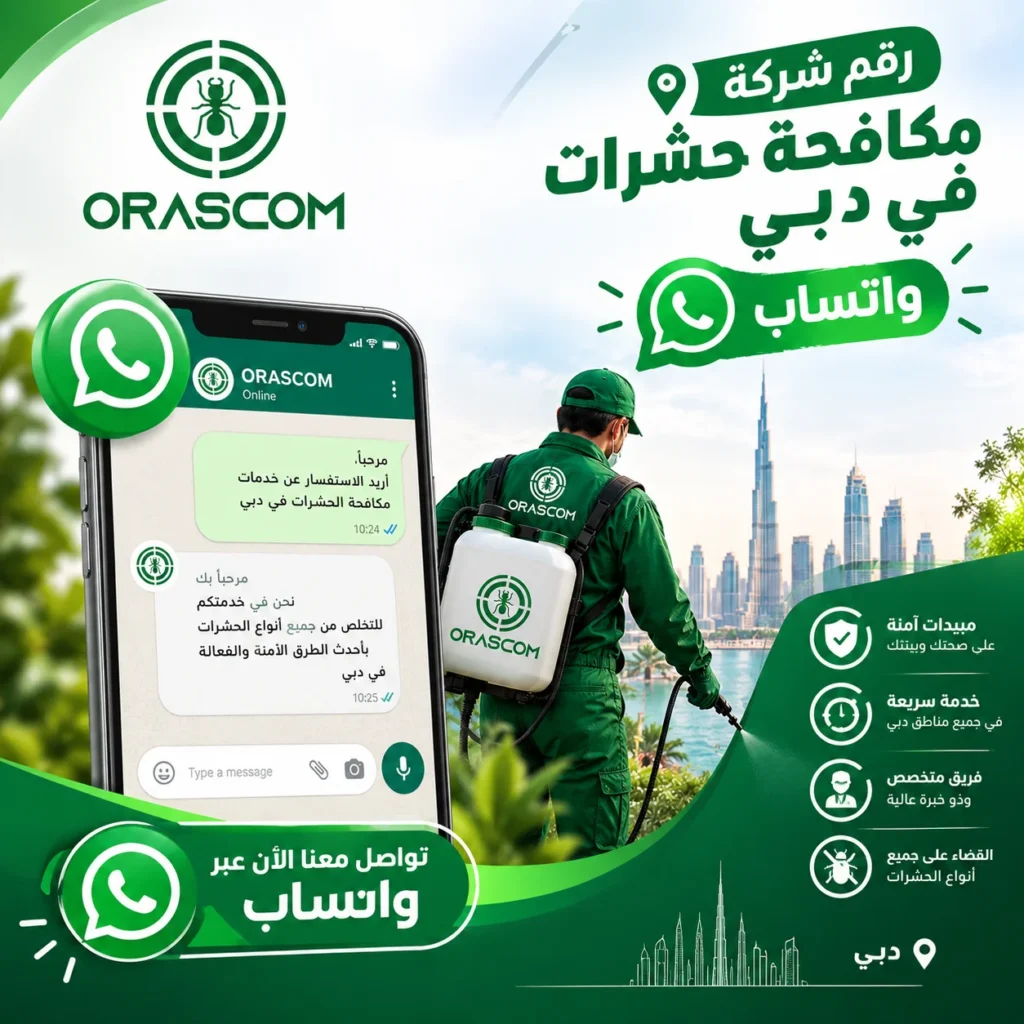 رقم شركة مكافحة حشرات في دبي واتساب | تواصل سريع مع شركة متخصصة رقم شركة مكافحة حشرات في دبي واتساب
