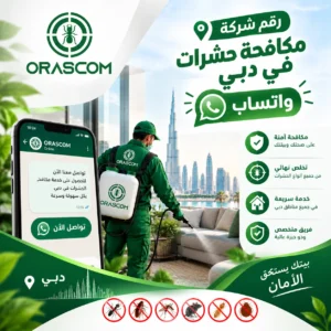 رقم شركة مكافحة حشرات في دبي واتساب | تواصل سريع مع شركة متخصصة رقم شركة مكافحة حشرات في دبي واتساب