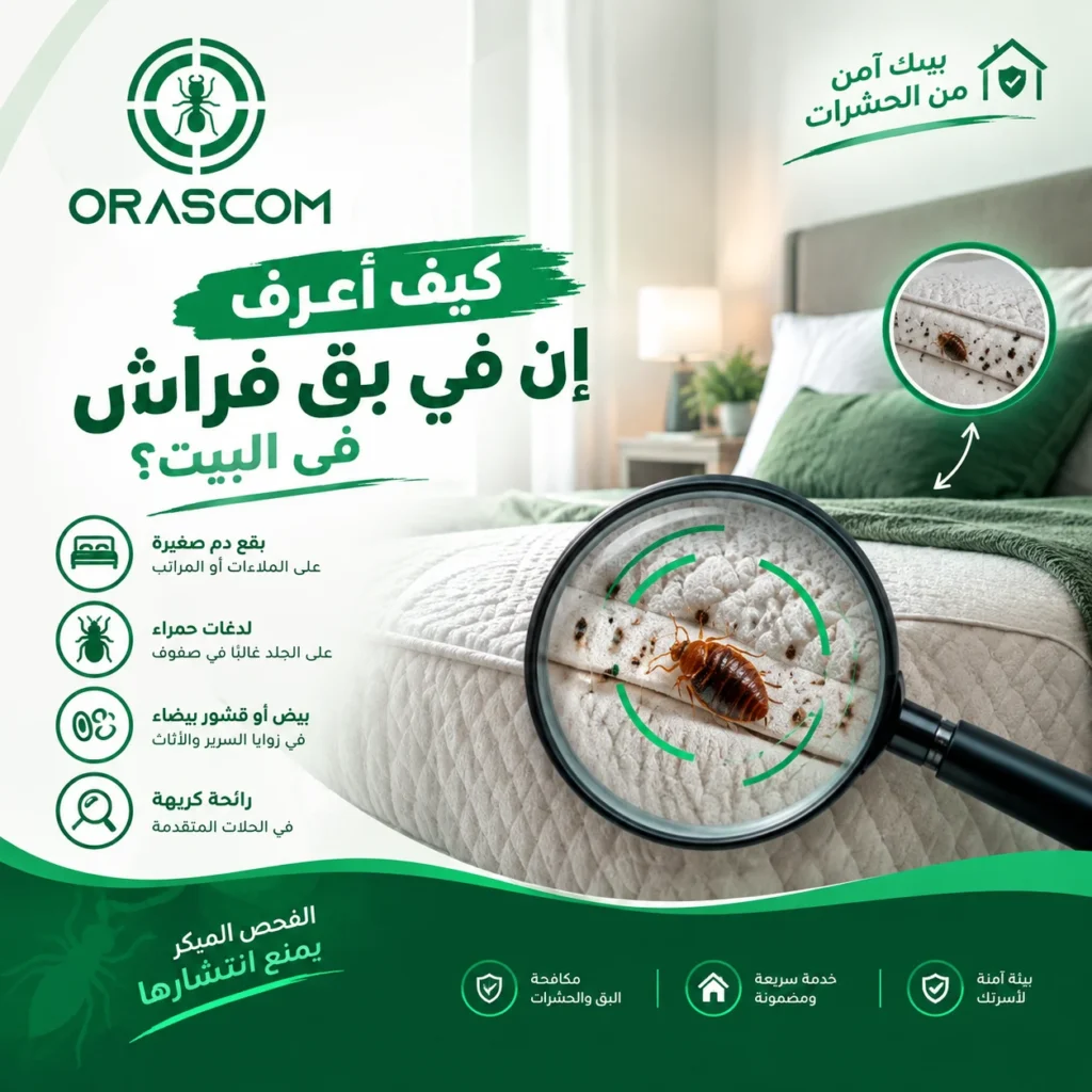 كيف اعرف ان في بق فراش في البيت،؟ أهم العلامات التي تكشف وجوده كيف اعرف ان في بق فراش في البيت،