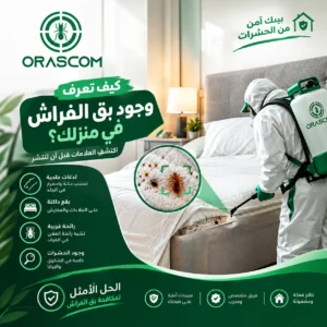 كيف اعرف ان في بق فراش في البيت،؟ أهم العلامات التي تكشف وجوده كيف اعرف ان في بق فراش في البيت،