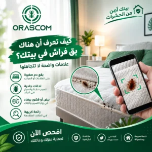 كيف اعرف ان في بق فراش في البيت،؟ أهم العلامات التي تكشف وجوده كيف اعرف ان في بق فراش في البيت،