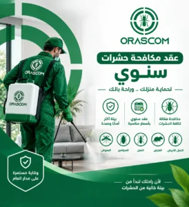 عقد مكافحة حشرات سنوي | دليل شامل لاختيار الخدمة المناسبة عقد مكافحة حشرات سنوي